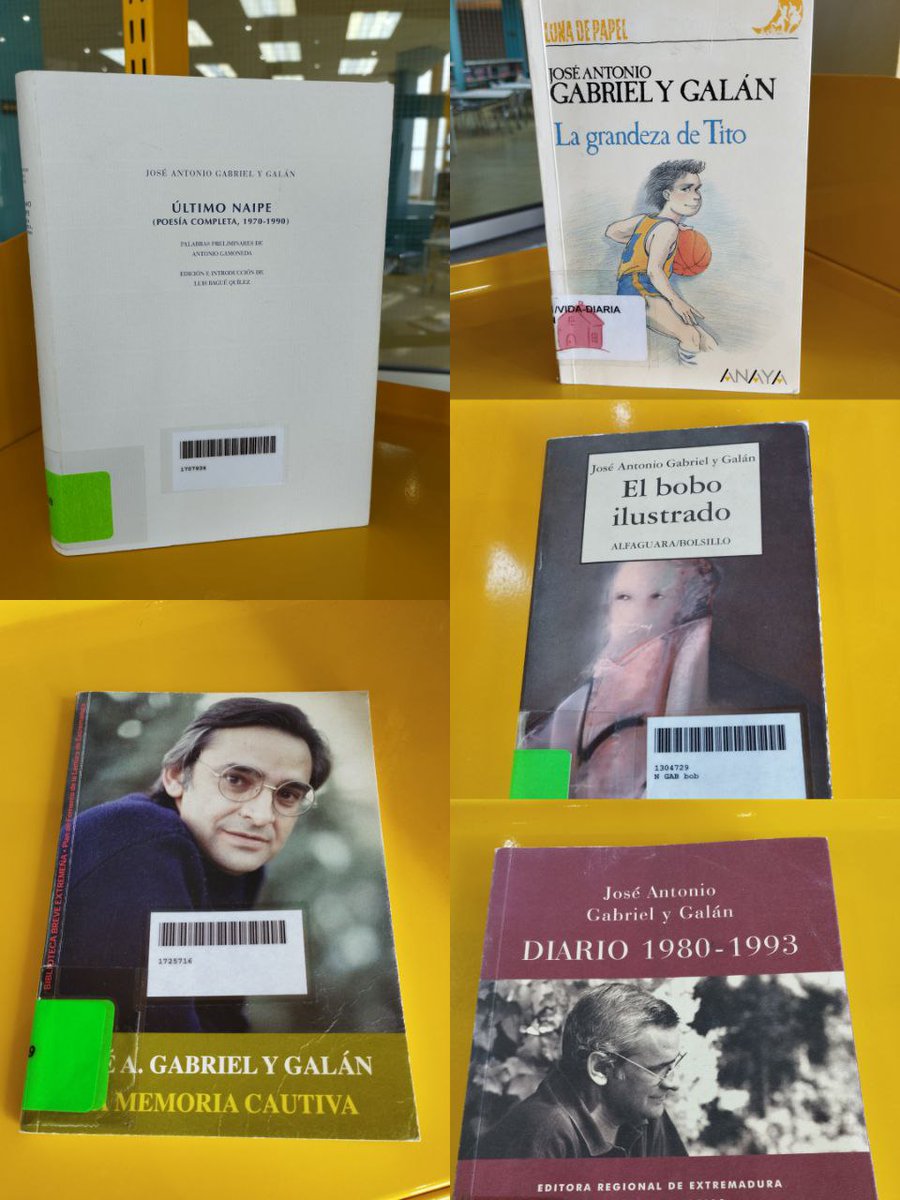 BiblioMerida tweet media