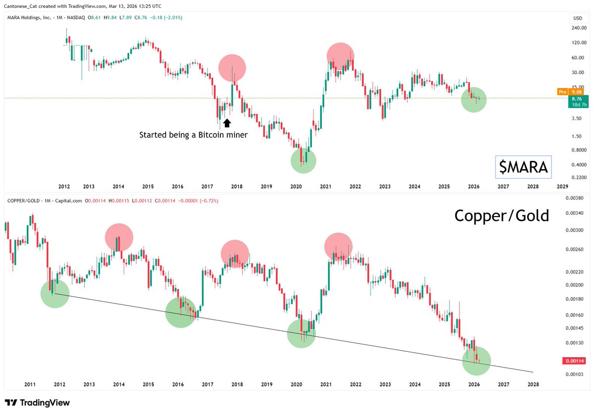 Cantonese Cat 🐱🐈 tweet media