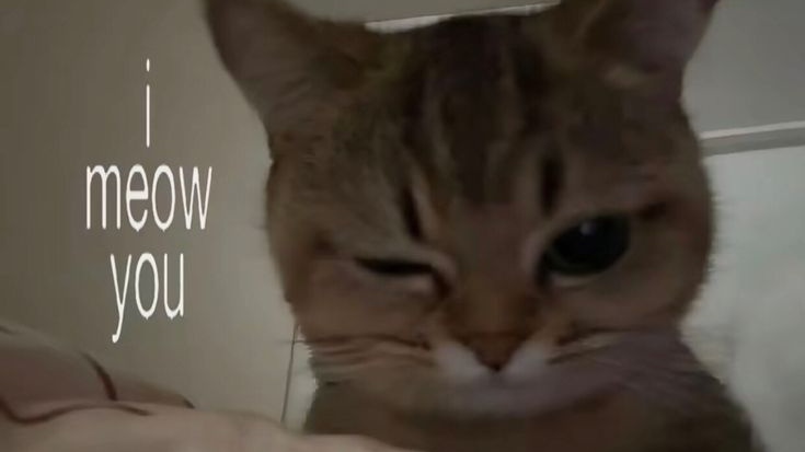 CDN2 KONTEN tweet media