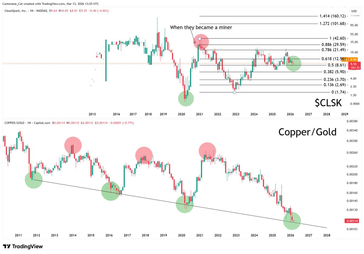 Cantonese Cat 🐱🐈 tweet media