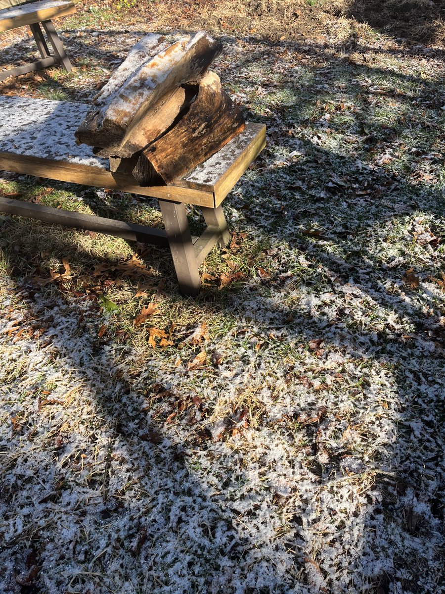 Kim Krieger tweet media