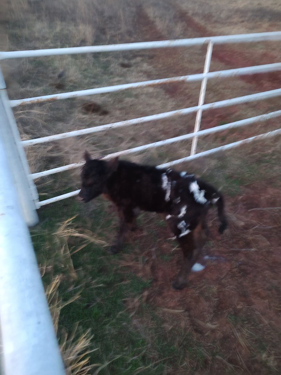 Paul Ferda tweet media