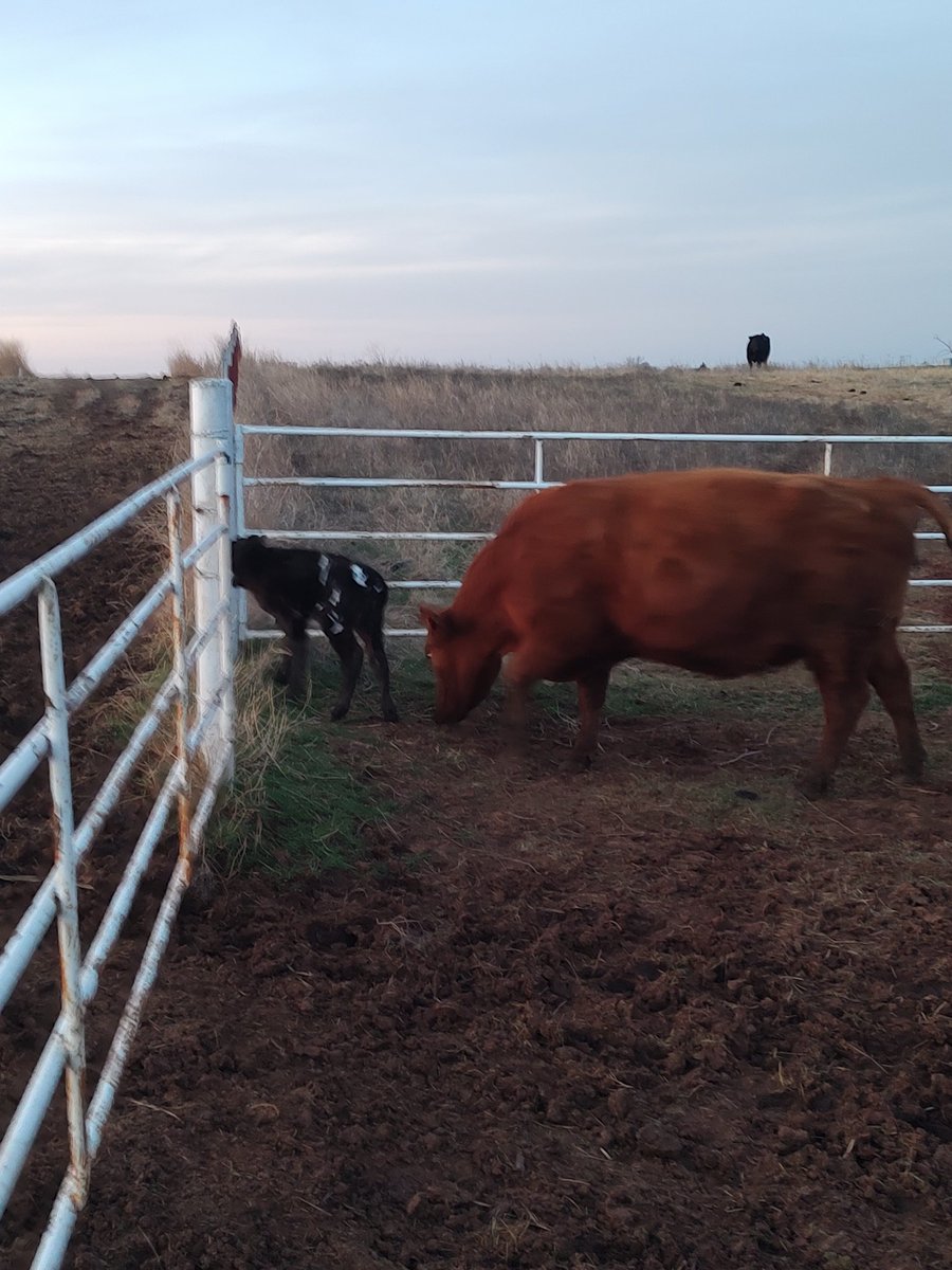 Paul Ferda tweet media