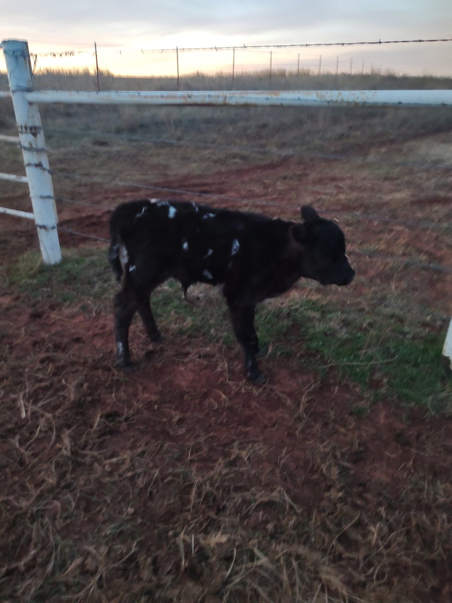 Paul Ferda tweet media