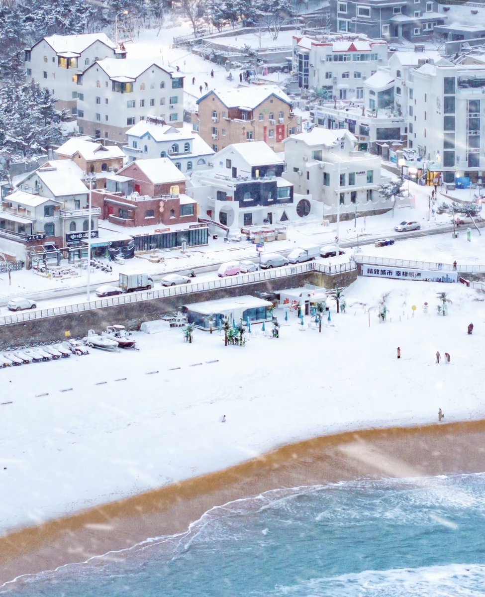 Brittany Schultz tweet media