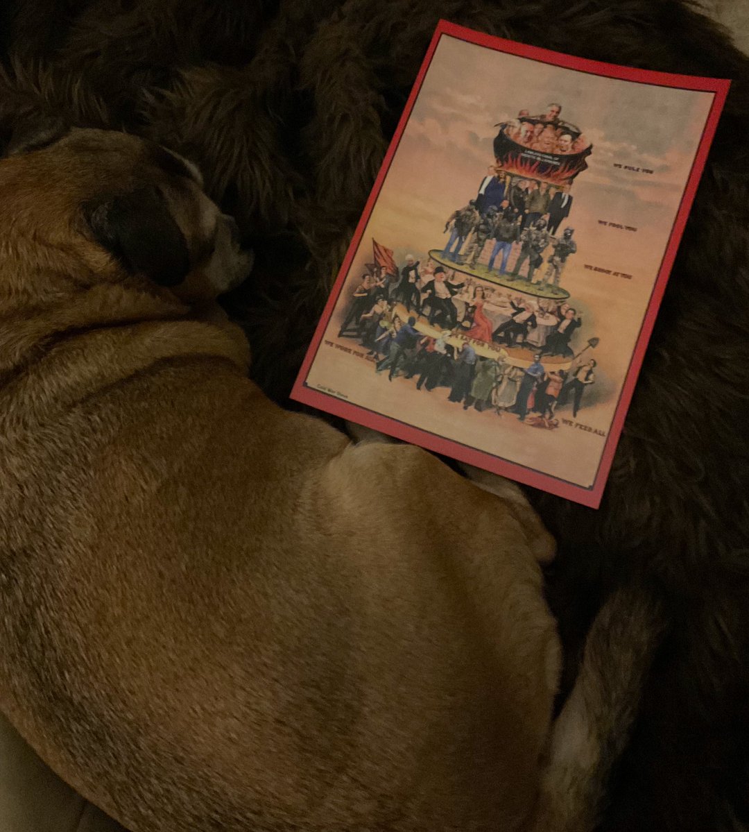 Nel Glyndŵr🏴󠁧󠁢󠁷󠁬󠁳󠁿 tweet media