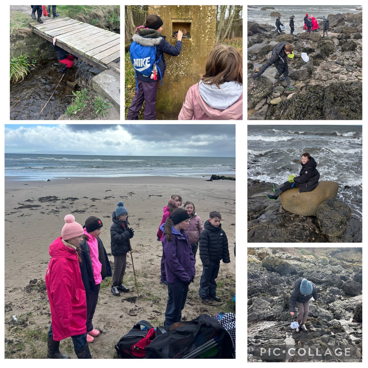 crosshill_ps's tweet photo. Class 2 had fun today at the rock pools and down at the beach for Outdoor Learning Day. #CrosshillClass2 https://t.co/QZgBroebRR