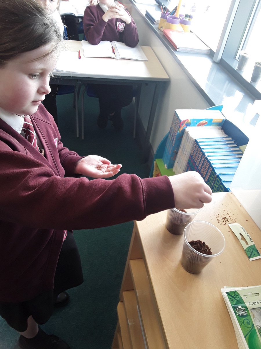 De Lacy Primary tweet media