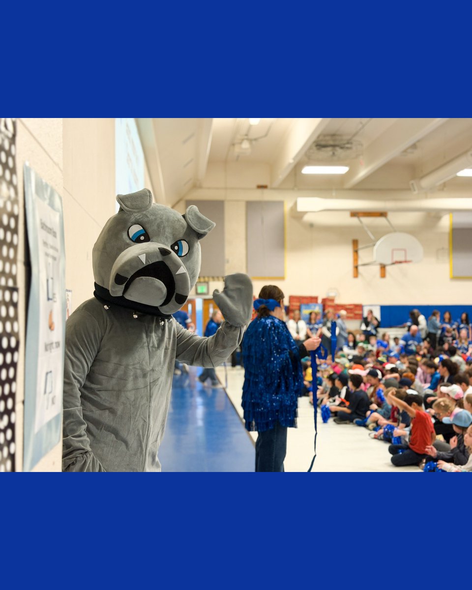 Lake Zurich Community Unit School District 95 tweet media