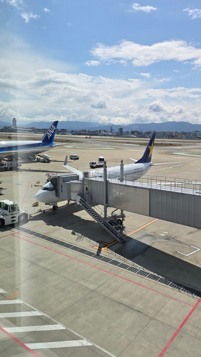 まーめいど tweet media