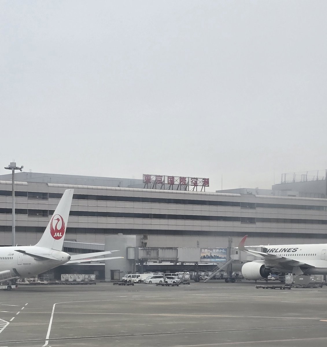 まーめいど tweet media