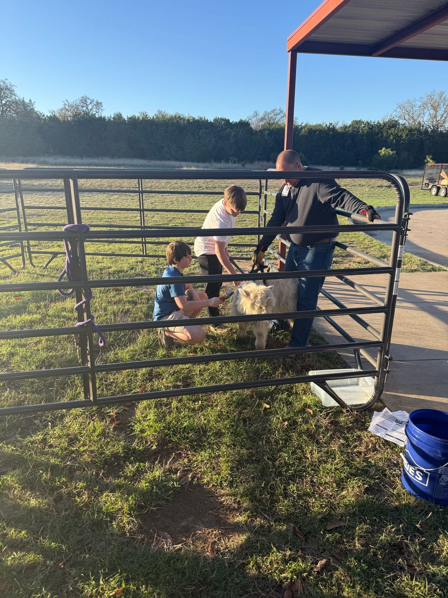 Cari Orts tweet media