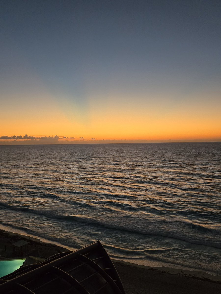 Peperoncino™️ 🇮🇹🌶 | @NFTNYC 24/25 |Team XI:XI tweet media