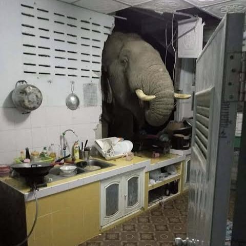 -- OOC parody --

“.....”

ดูไปแล้วก็..แอบคล้ายแฮะ