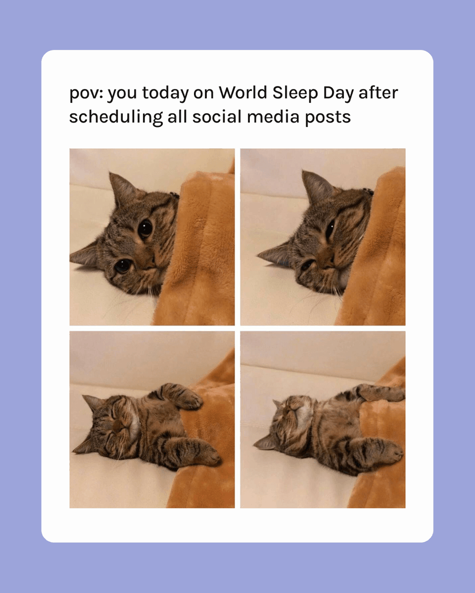 Hopper HQ tweet media