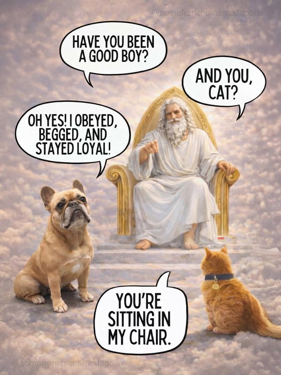 LAnDo NIFFIRG™️🇨🇦 tweet media