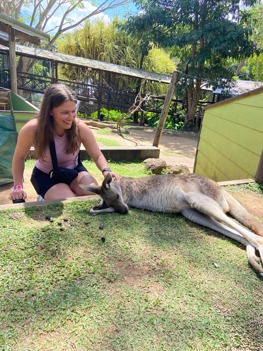 TCNJEngineering tweet media