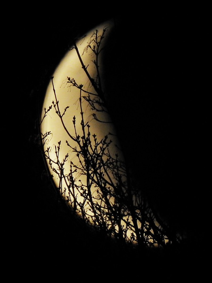 SkinnyAtlasMsic's tweet photo. Moon this morning Friday the 13th #moon #fridaythe13 #crescentmoon #friday13th #neoa4 #saythistome https://t.co/GIF5QzXwQO