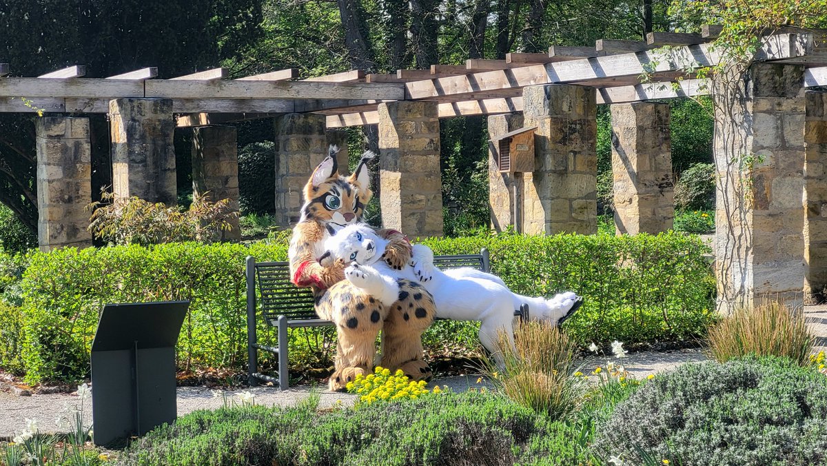 Freunde auf 2 Pfoten e. V. tweet media