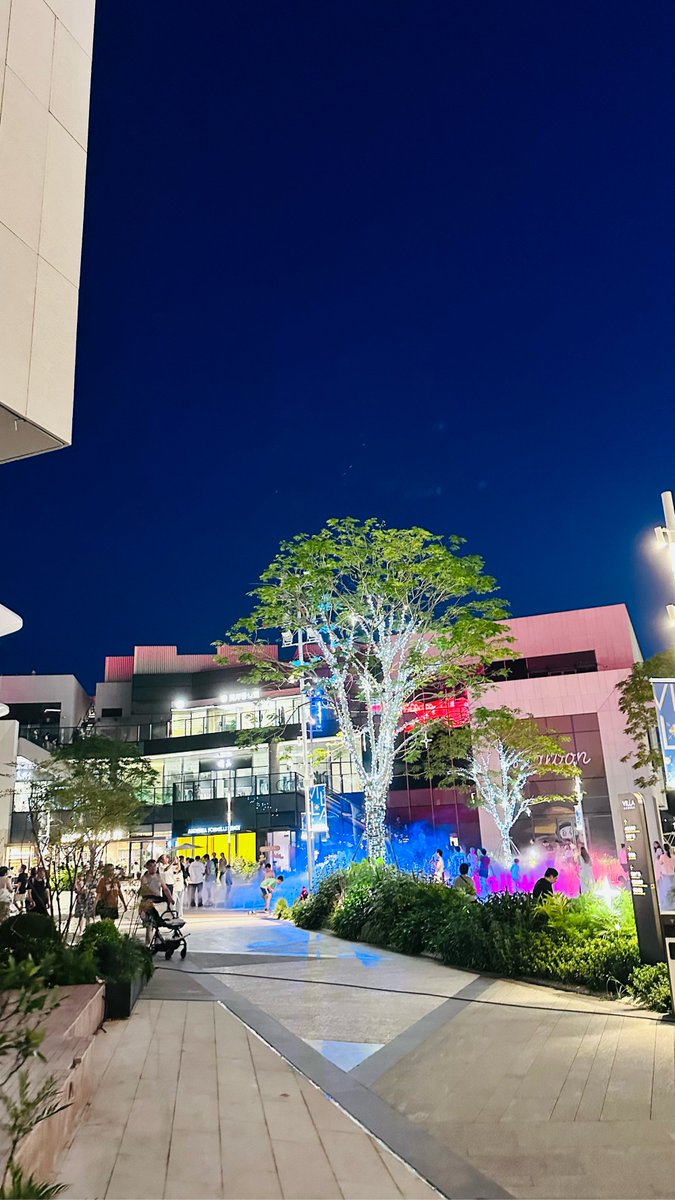 AnnaF Signal Advisor. tweet media