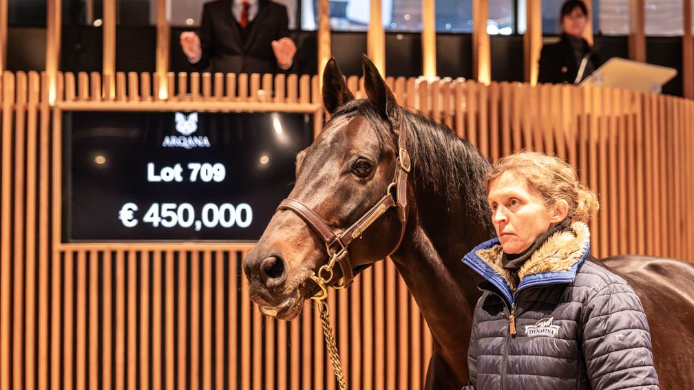 Racing Post Bloodstock tweet media