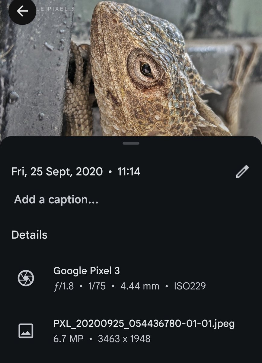 Siva_Bharani's tweet photo. This was shot on Google pixel 3
#ShotOnPixel #Pixel3 https://t.co/4ymxObM2RI
