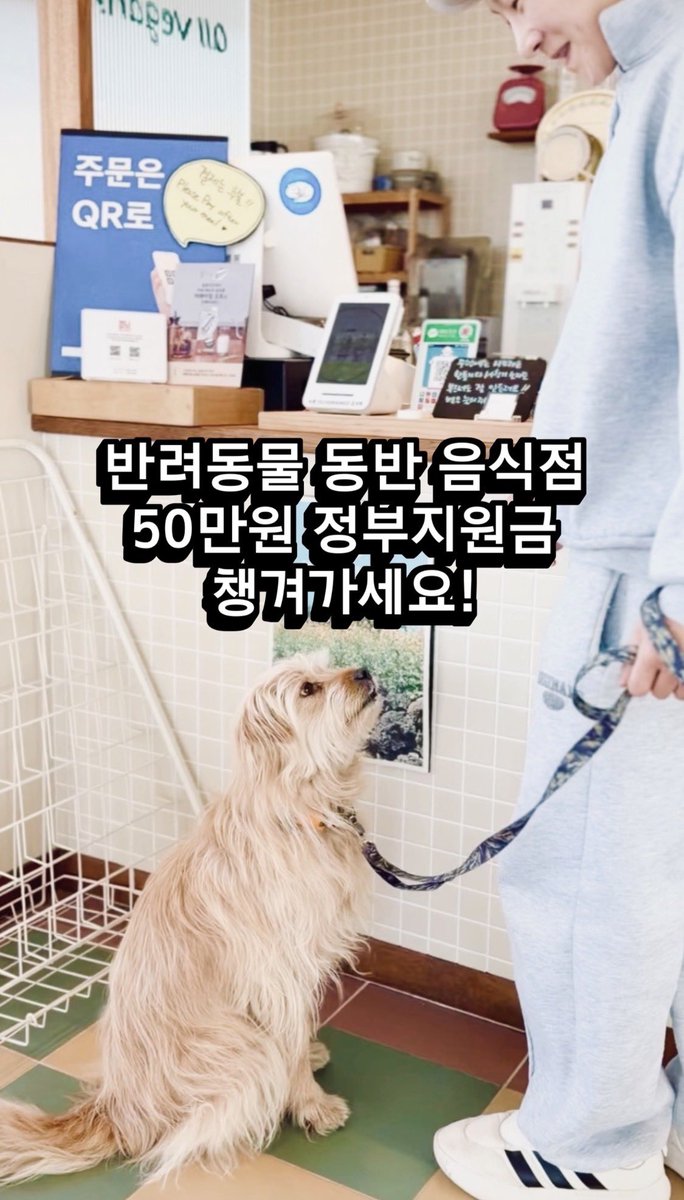 귤엔터 황구윤 반려견 데뷔 준비 중 tweet media