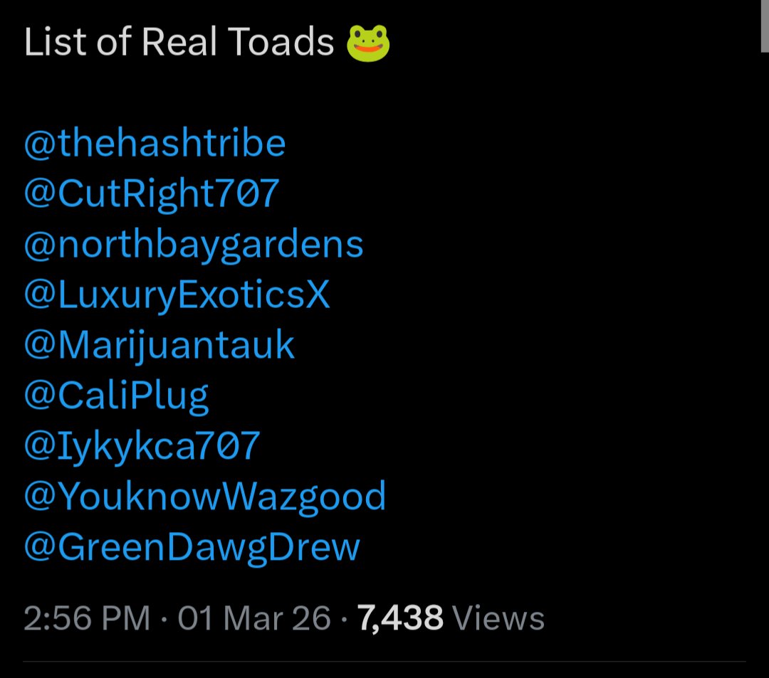 Terps Tester tweet media