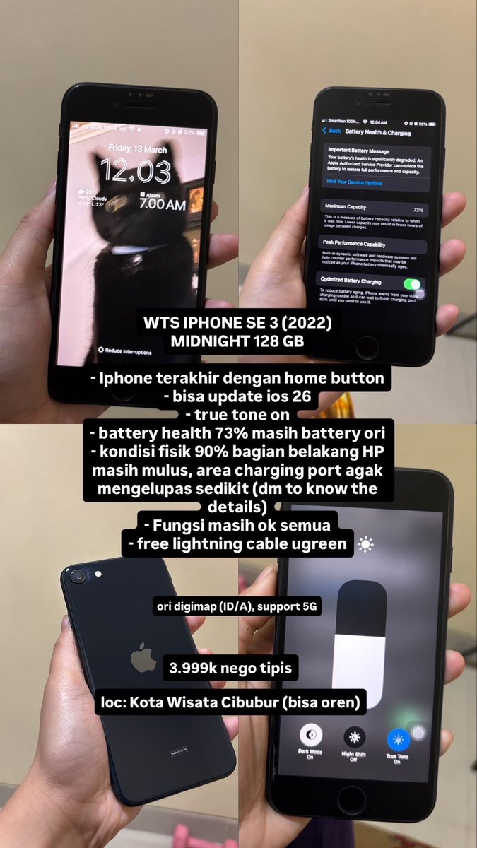 circe🍉 tweet media