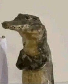 госпожа би | жена Мальбонте и Мехмеда tweet media