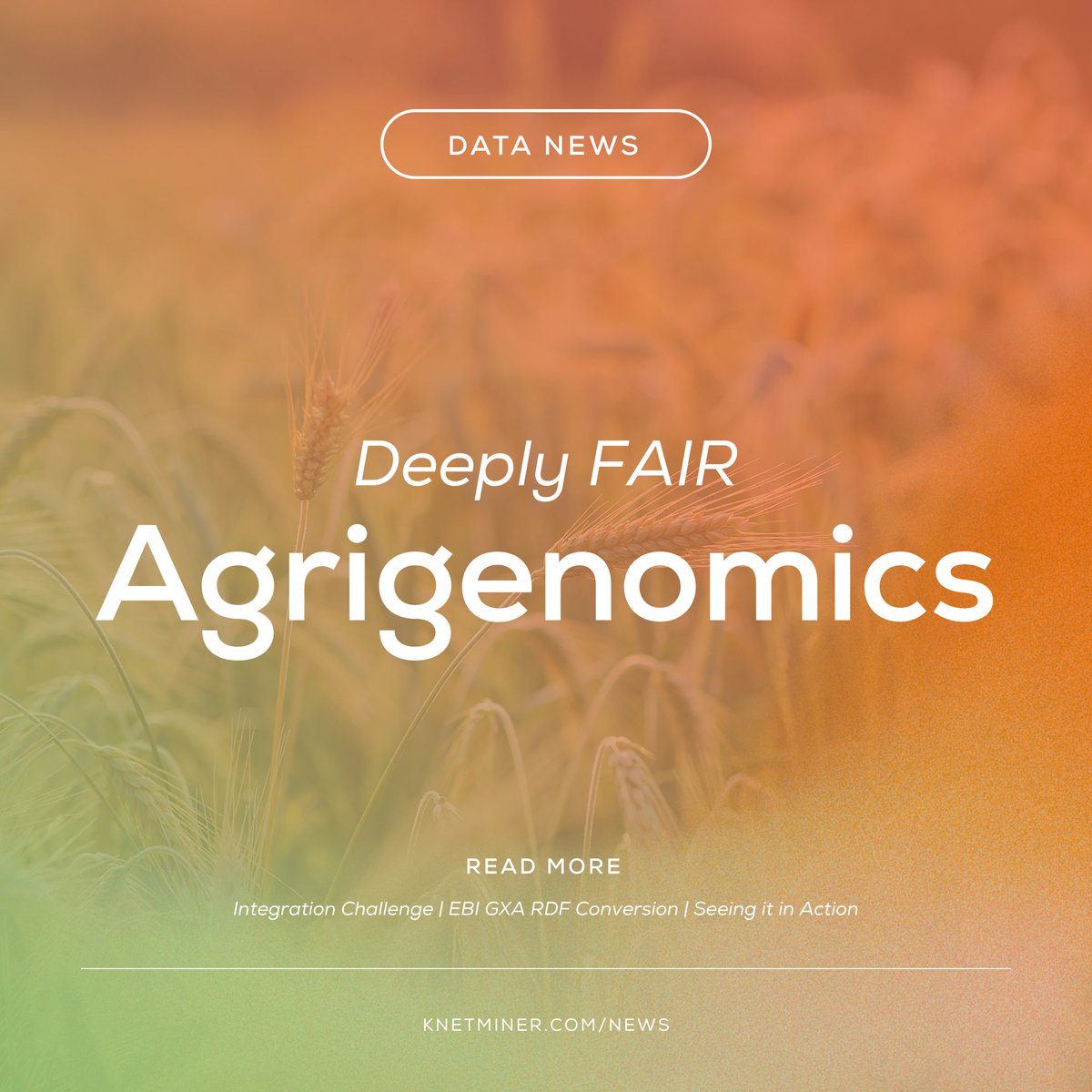 KnetMiner tweet media