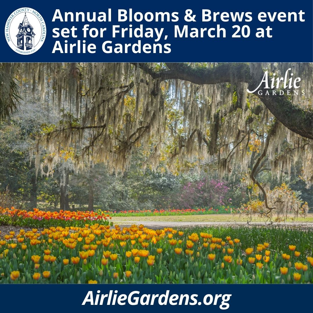 New Hanover County tweet media