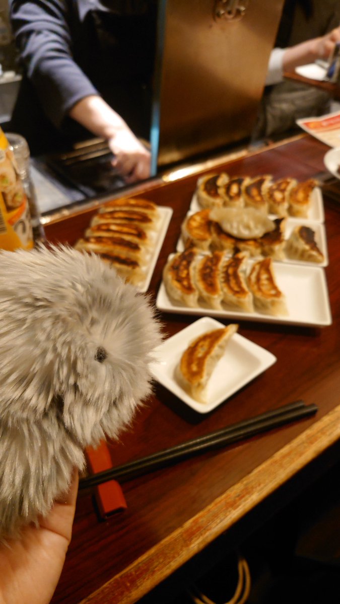 harapekodog4580's tweet photo. 餃子Mさんに
六角橋日記1&amp;2
5部ずつ置いていただきました🤩
ぜひ！

#くぼりん六角橋日記

餃子Mにて
https://t.co/TjPyHrs2mH https://t.co/9znktzV9hg