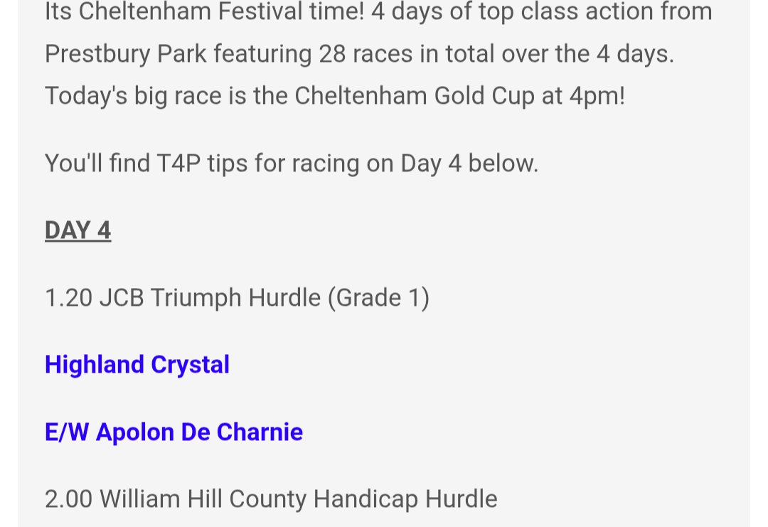 T4P 🏇 tweet media