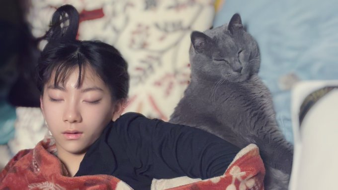 Twitterのコスプレ画像1