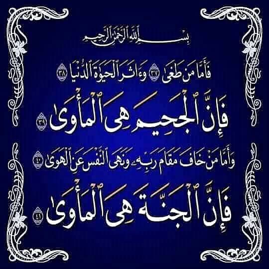 🇪🇬 شغف حرف 🇪🇬 tweet media