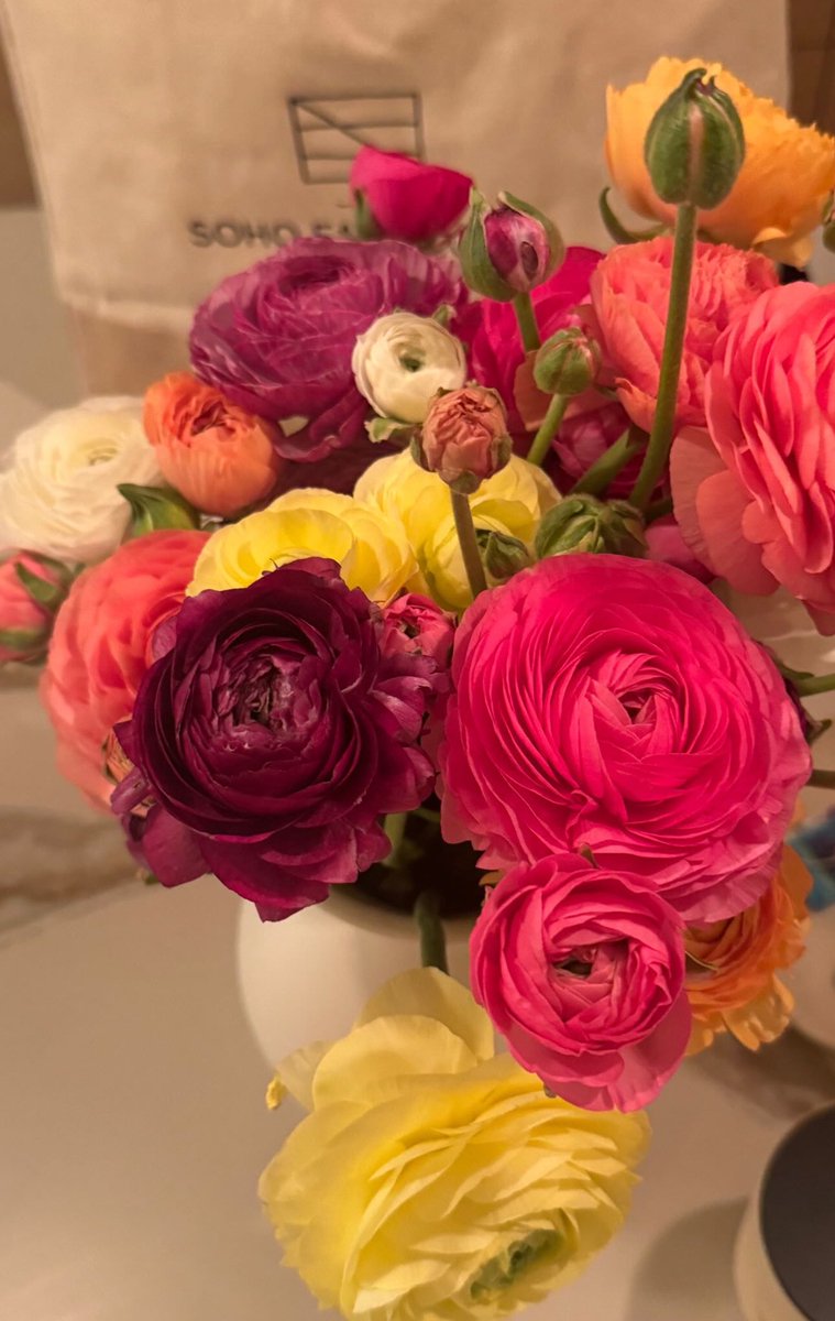 Nikki Bella Styles💋(ParodyAccount) tweet media