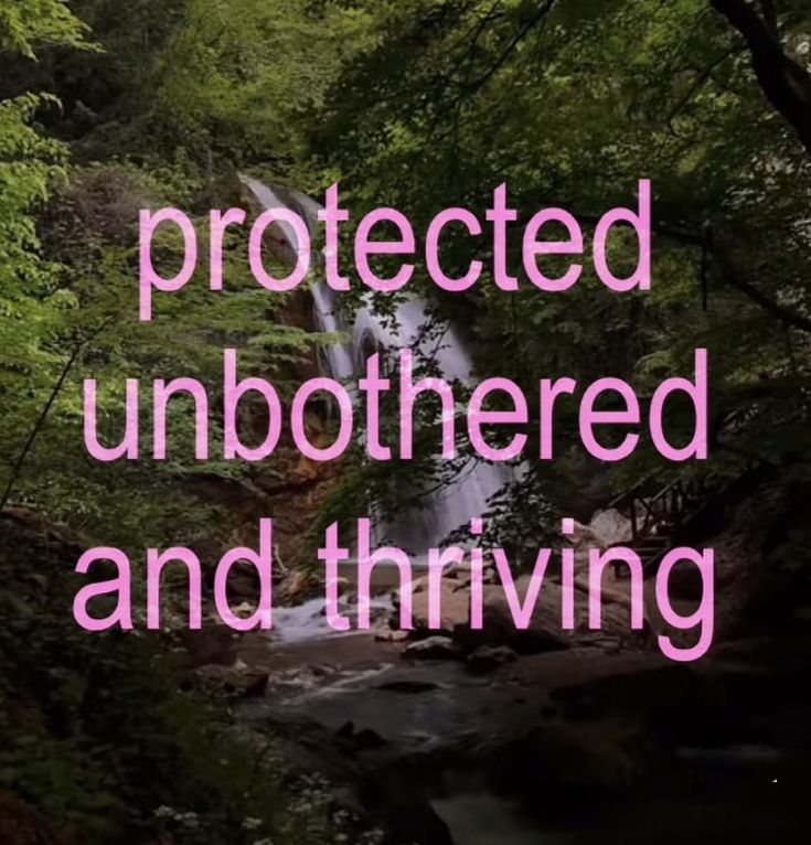 𝓁𝒾𝓁𝓎. (@iridescelily) on Twitter photo 