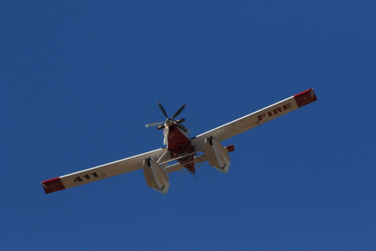 Dauntless Air tweet media