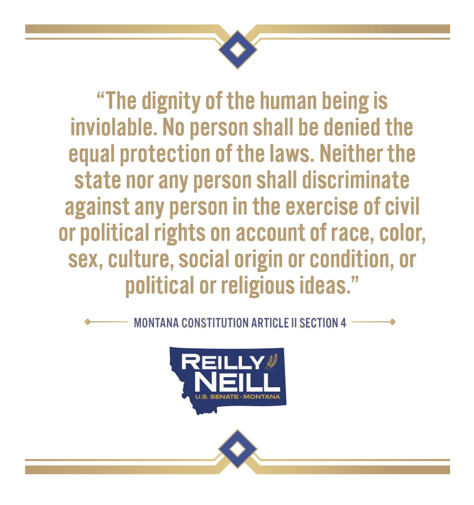 Reilly Neill tweet media