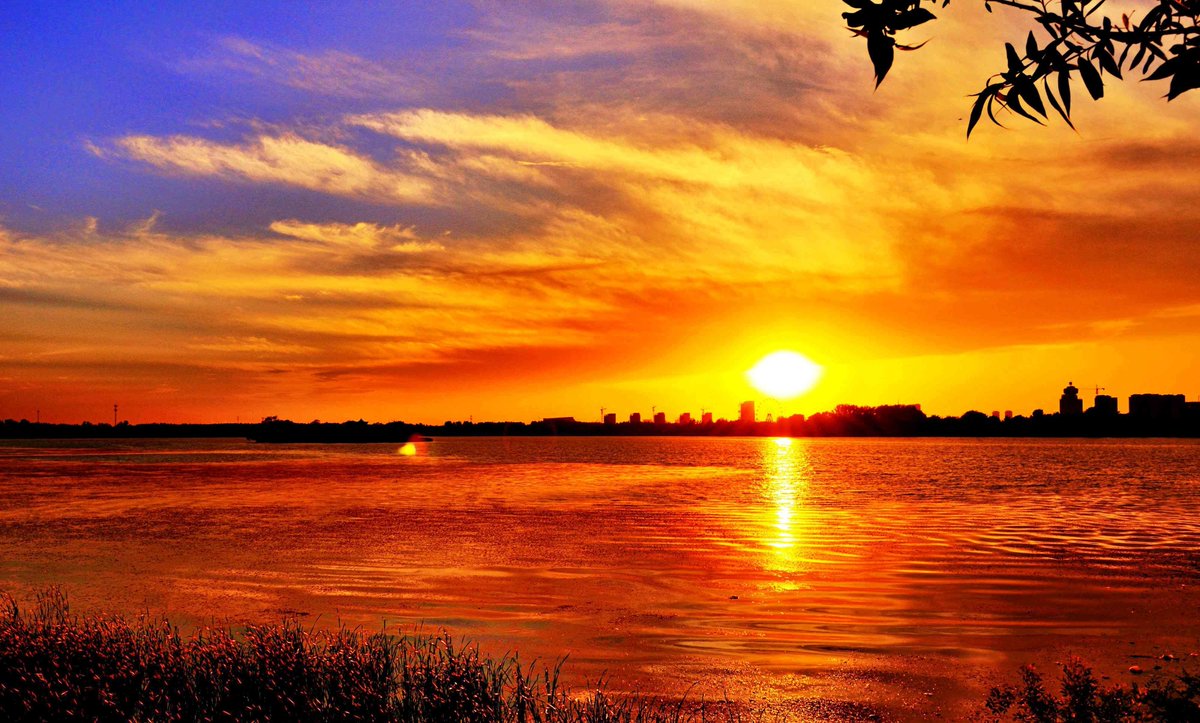 GoId Perbiotcrs tweet media