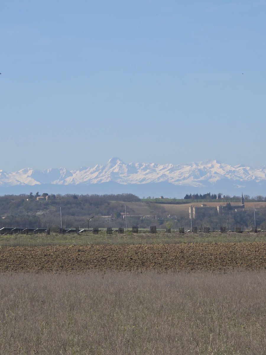 extrêmement vivant tweet media