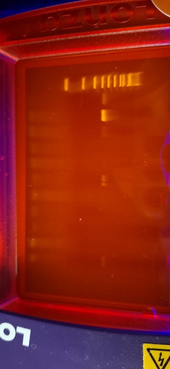 AGS Biology Technicians tweet media