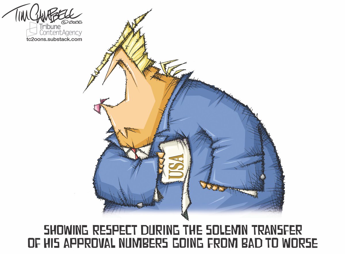 Tim Campbell tweet media