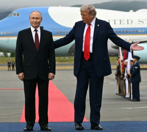 yoooo 🚨🚨 tweet media