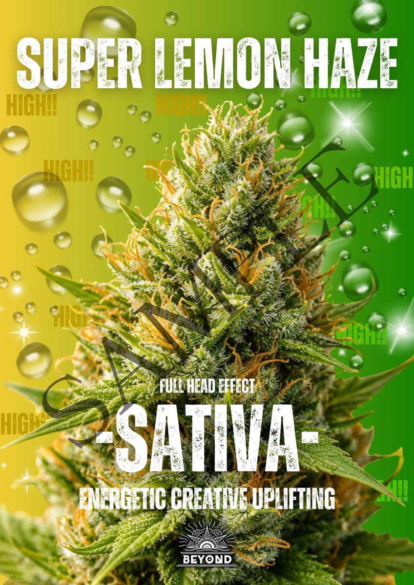 zero_position0's tweet photo. 🌿ストレインポスターシリーズ🌿

SATIVA / INDICA / HYBRID

海外では品種ごとに特徴があり カルチャーとして楽しまれています

今回はそのストレイン文化を ポスターとしてデザインしました🌟

抽選で
A4サイズ3枚セット×1名様
L判3枚セット×2名様

いいね・リポストで参加✨ https://t.co/LneReoC9H6