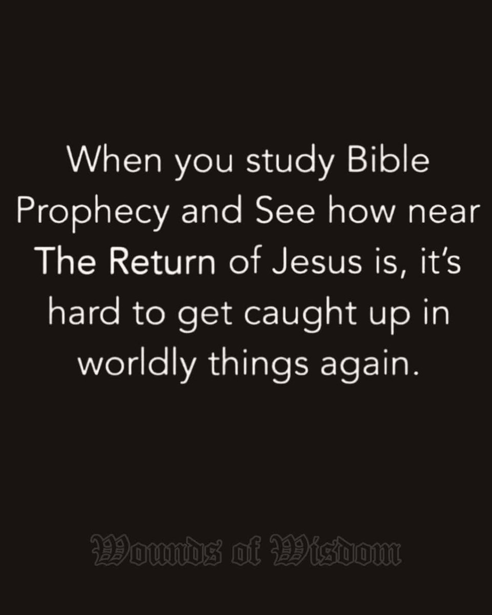 Kristy Williams tweet media