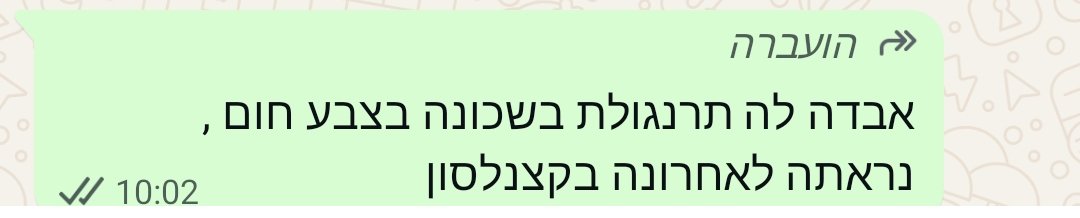 צח שפיצן tweet media