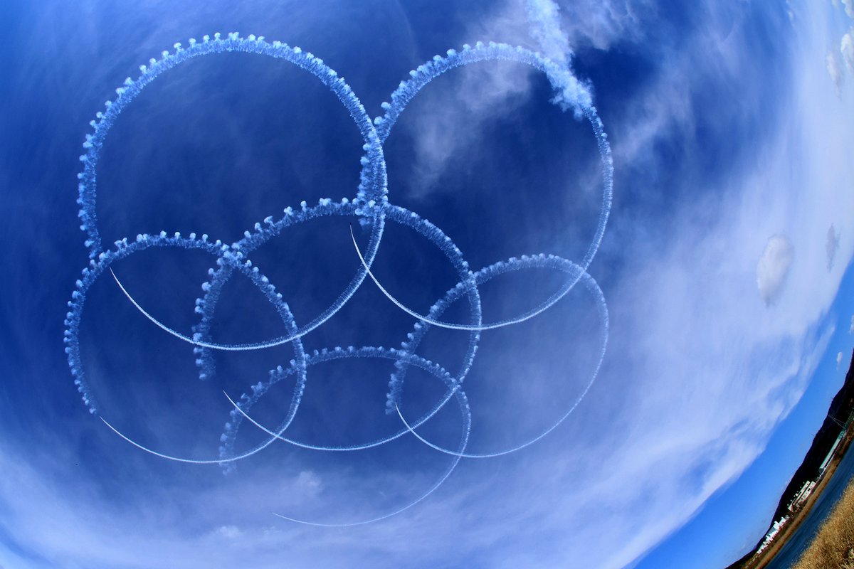 KN1@松島 tweet media