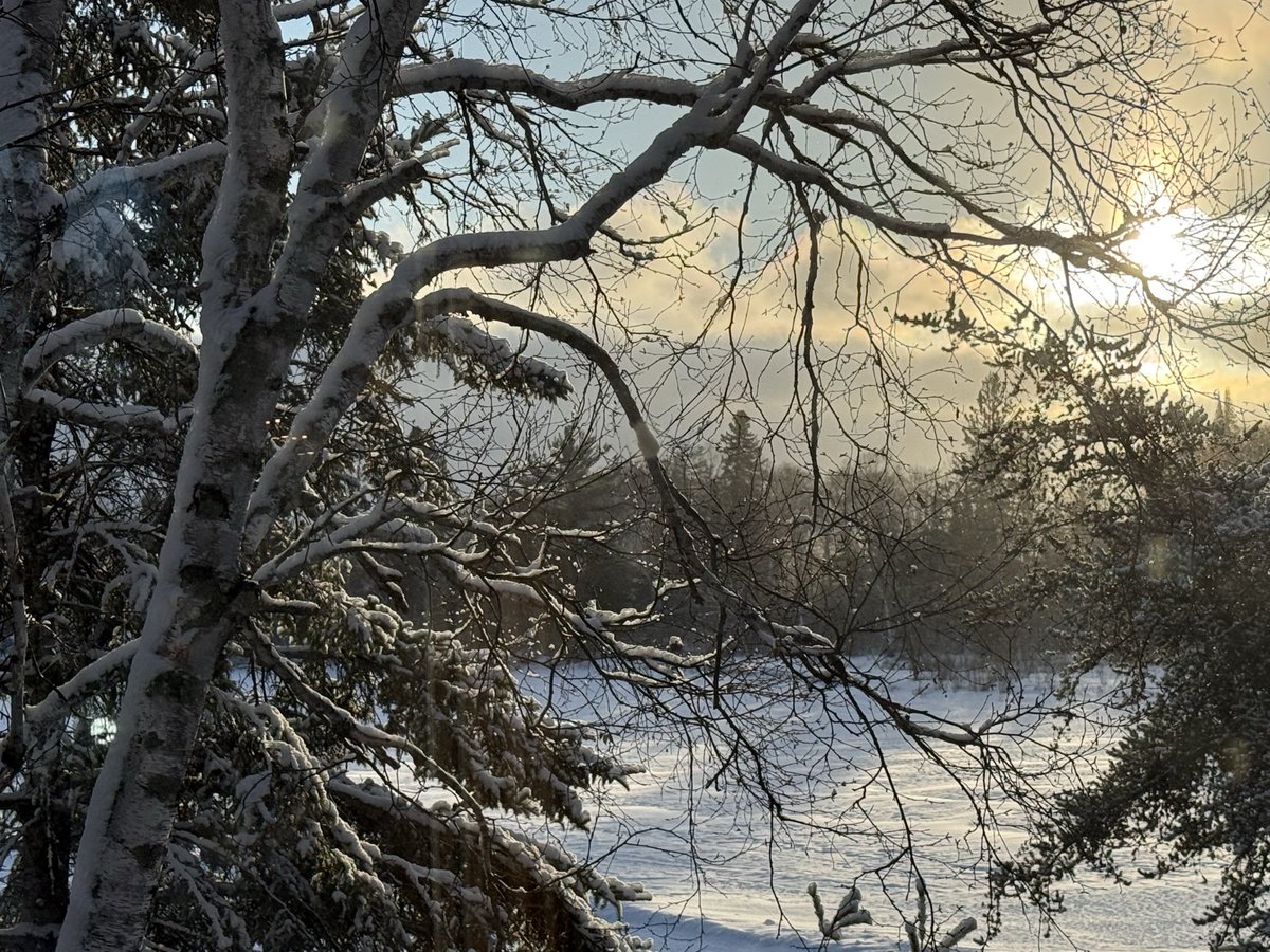 FergDevins tweet media